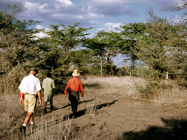 Rufiji River Camp - Selous